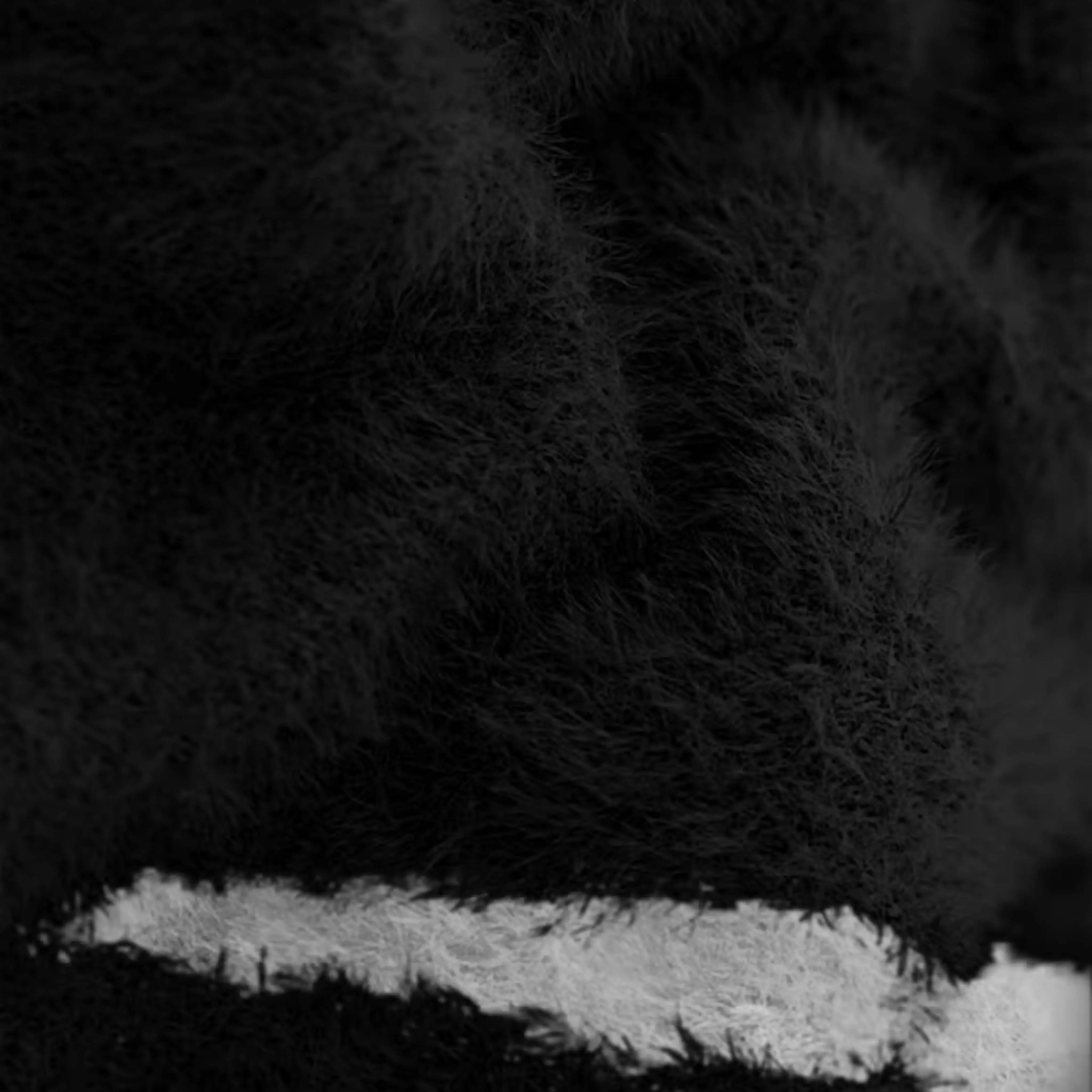 CRACKLINE — SWEATER - Off Culture